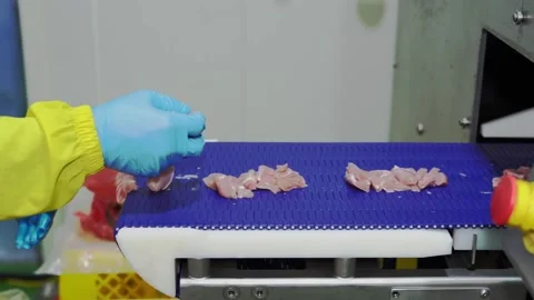 Auto cutting size02 Stock Footage 218558954