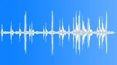 Auto JaguarSound Effect