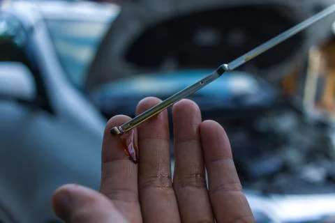 Auto mechanic checking engine oil dipstick in car. Auto mechanic in car repai Stock Photos