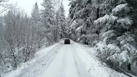 Auto navigating at snow covered wood with enchanting landscape. Follow to Video stock 321689661