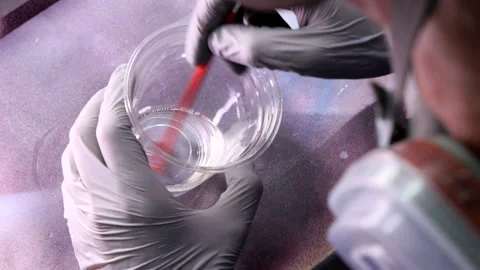 Auto Painter in Filter Mask Mixing Hardener for Automotive Paint Stock Footage 306009253