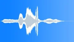 Auto, PorscheSound Effect