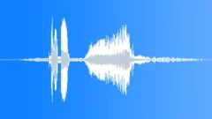 Auto Race DragsterSound Effect