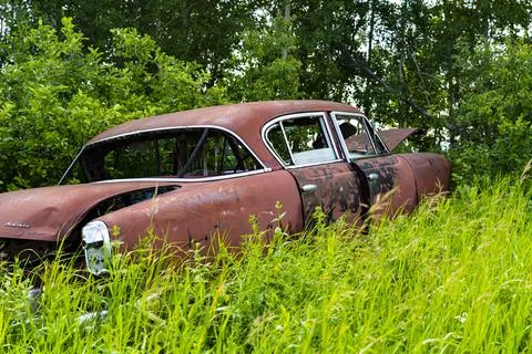 Auto relic in trees Foto stock