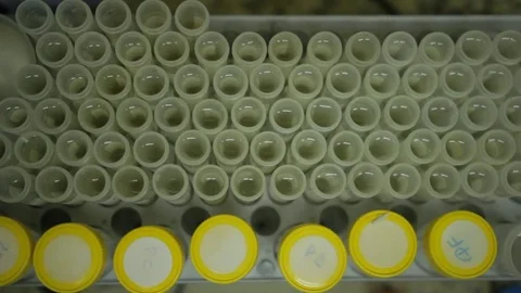 A auto sampler machine works probing a tray of test tubes Stock Footage 75846221