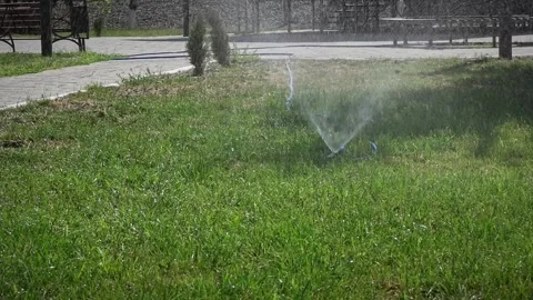 Auto sprinkler in park Stock Footage 201022006