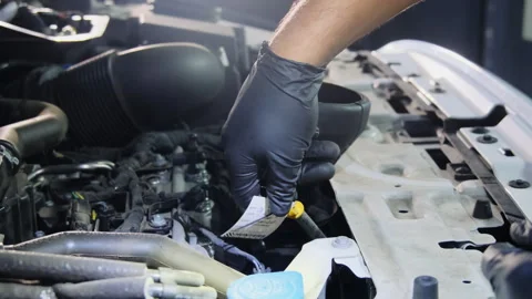 Auto technician checks oil level of vehicle using dipstick Stock Footage 317645390