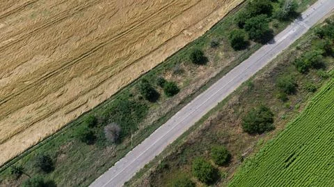 Auto track running through wheat and sunflower fields aerial photography Stock Photos