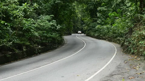 Auto traffic on narrow two-lane in Fern Gully rain forest, Jamaica Stock Footage 58361701
