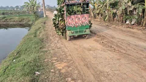 Auto Van Transporting Water Hyacinth Forage on Rural Dirt Road Stock Footage 337152301