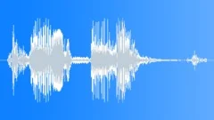 Auto Volkswagen Sound Effect