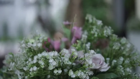 Autofocus Speed Test: Focus Transition on an Early-Generation Mirrorless Camera Stock Footage 342230849