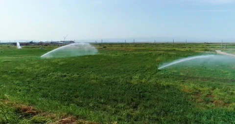 Autogrow Automatic Irrigation and Fertigation System, Automated Watering Stock Footage 194935190