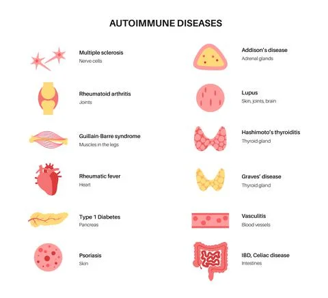 Autoimmune disorders diseases Stock Illustration