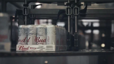 Automated beer canning and packaging line at brewery factory Stock Footage 337411193