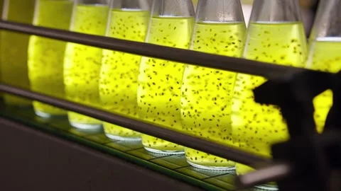 Automated Bottling Line Stock-Footage 331697660