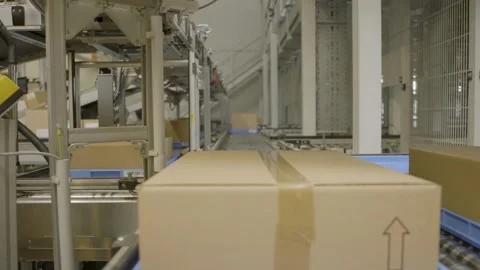 Automated Cardboard Boxes Moving on Conveyor System Inside Logistics Warehouse Stock Footage 334053225