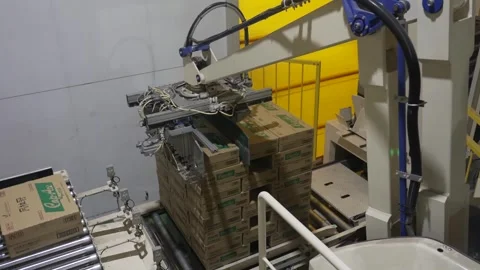 Automated Case Packing at a Sake Bottling Plant 動画素材 340010854