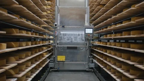 Automated cheesemaking process, robotic system handling wheels of cheese Vidéo 313549906