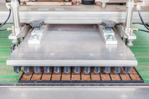 Automated conveyor belt system preparing plant seedlings to be planted Stock Photos