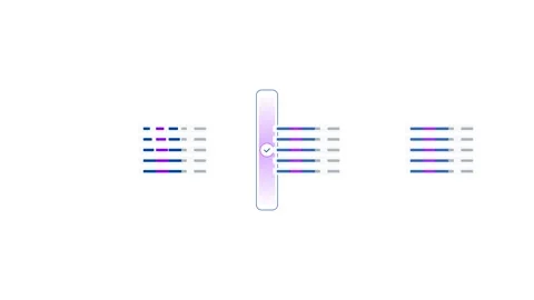 Automated Data Privacy Anonymization Process with K-Anonymity Cluster Maski.. Stock Footage 346984494