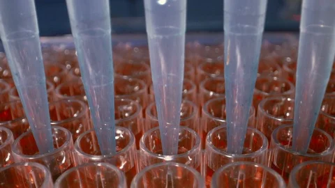 Automated DNA Processor real-time PCR cycler.  PCR robotic machine for molecu Stock Footage 125405193