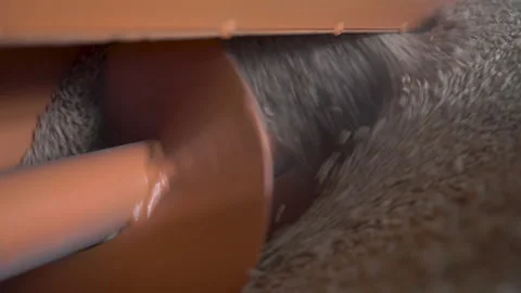 Automated drying of wheat at the granary Видео 242518115