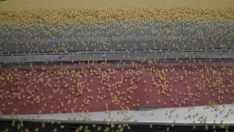 Automated Food Processing, Raw Pasta Pouring from Stainless Steel Chute onto Stock Footage 341908927