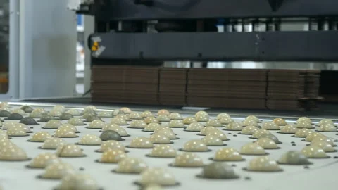 Automated industrial machine processing rows of small rounded cream and gray Stock Footage 347019656