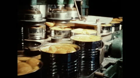 Automated Industrial Processing And Production Of Canned Peaches Stock Footage 160697576