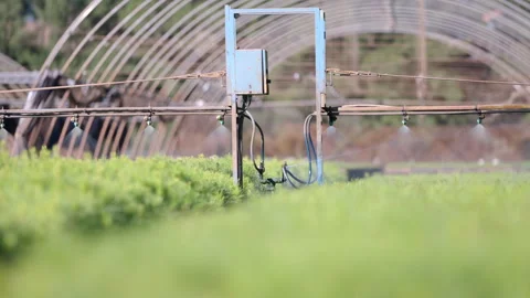 Automated Irrigation System Control Unit in Greenhouse Nursery Stock Footage 340339300