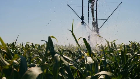 Automated irrigation system on the field Stock Footage 93867258