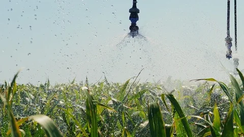 Automated irrigation system on the field Stock Footage 94233256