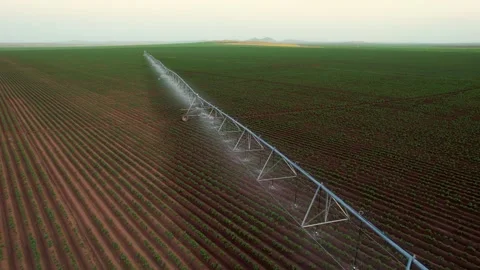 Automated irrigation systems efficiently watering large fields during a Stock Footage 293764863