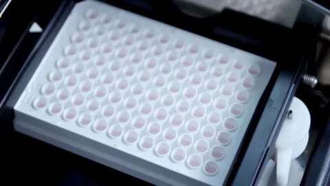Automated Liquid Handling System Progress 96 wells plate in quantitative PCR Stock Footage 311169678