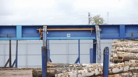 Automated log sorting line. Wheel loader and automatic sorting logs diameter at Stock Footage 126409988