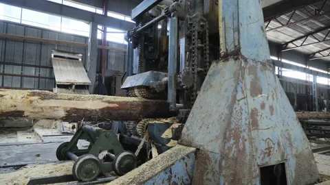 Automated machine is processing multiple wooden logs at the Industrial Plant Stock Footage 171970830