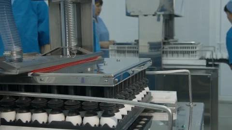 Automated machine with suction cups transfers eggs at a poultry factory Stock Footage 295600439