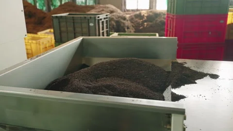 Automated machinery processes fresh tea leaves in modern factory setting. Large Stock Footage 274307946