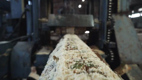 Automated Machinery Processing Lumber Material At A Forestry Workshop Room Stock Footage 248854983