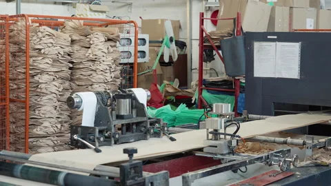 Automated manufacturing equipment processing the ecological material on conveyor Video stock 252488320