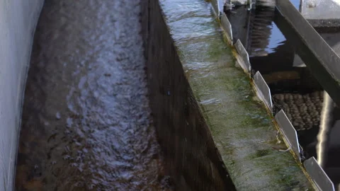 Automated Mechanical Brush Cleaning V-Notch Weir at Wastewater Treatment Plant Vídeos de archivo 334881664