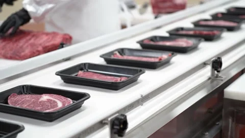 Automated Packaging Machine in Meat Processing Factory Stock Footage 335258422