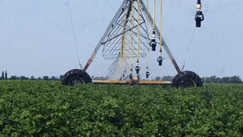 Automated pivot irrigation system moves on the fields above sprinkled plants. 스톡 동영상 160407944