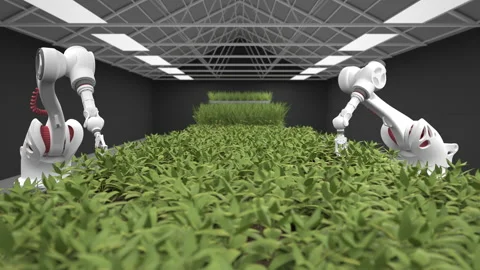 Automated planting process using advanced robot for planting leaves in trays. he Stock Footage 168733233
