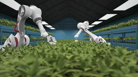 Automated planting process using advanced robot for planting leaves in trays. Ag Stock Footage 168928098