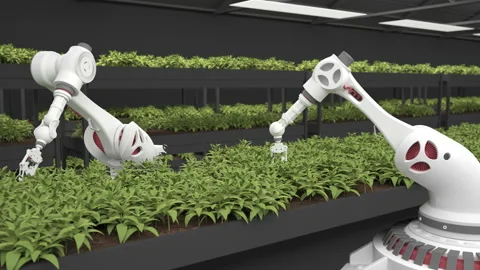Automated planting process using advanced robot for planting leaves in trays. Ag Stock Footage 168928982