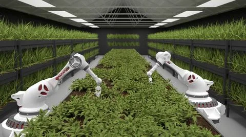 Automated planting process using advanced robot for planting leaves in trays. Stock Illustration