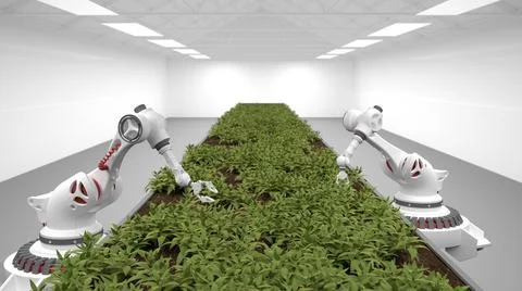 Automated planting process using advanced robot for planting leaves in trays. Stock Illustration