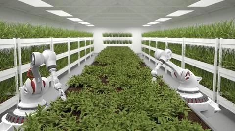 Automated planting process using advanced robot for planting leaves in trays. Stock Illustration